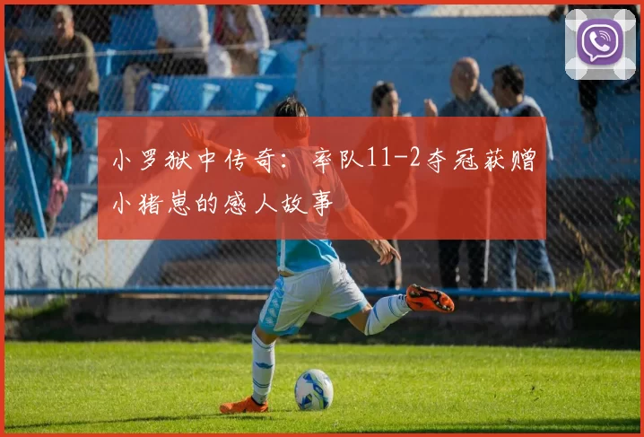 小罗狱中传奇：率队11-2夺冠获赠小猪崽的感人故事