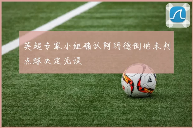 英超专家小组确认阿玛德倒地未判点球决定无误